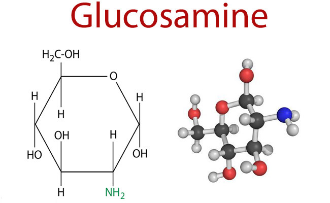 Lưu ý khi sử dụng Glucosamine